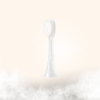 Brush Attachment
