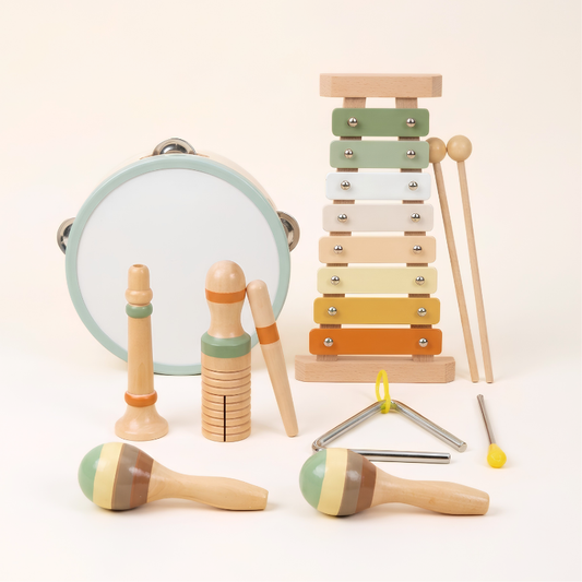 Toddla™ 6-in-1 Montessori Music Set